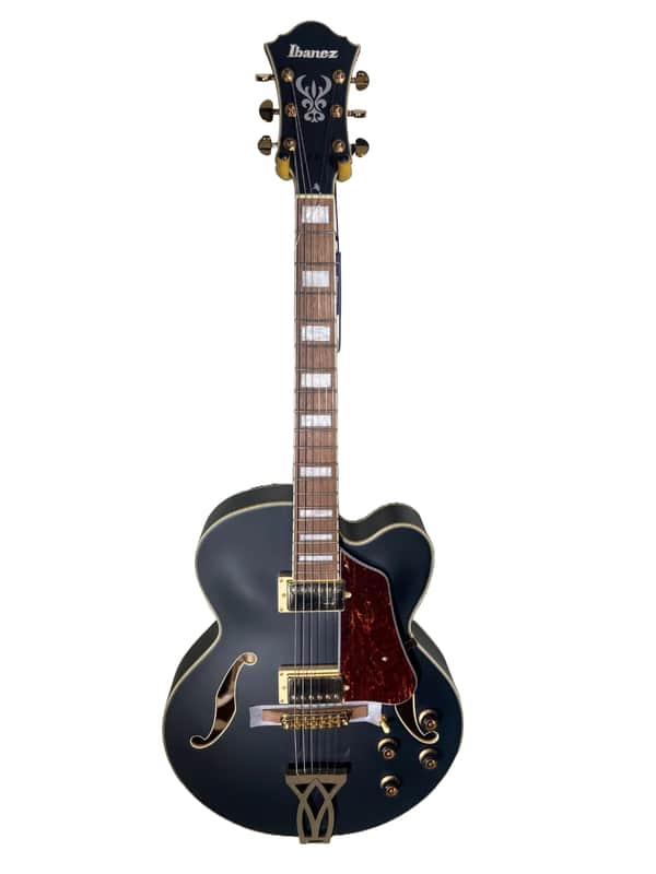 Ibanez Hollow Electric Guitar AF75G-BKF -Pro-SetUp-with Free Case image 1
