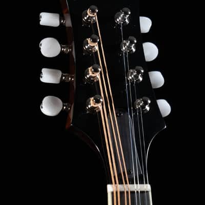 Eastman MD404-BK, Oval Hole, A-Style, Black - NEW image 10