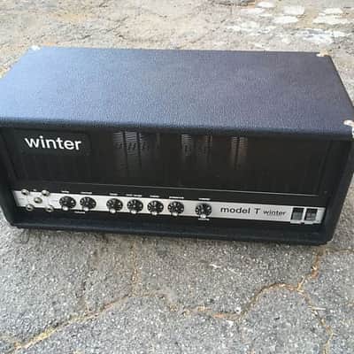Winter Amps Sunn Model T Clone Handwired version image 3