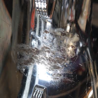 Ludwig  3pc Shell Pack 1985 Chrome Over Maple Drum Set image 4