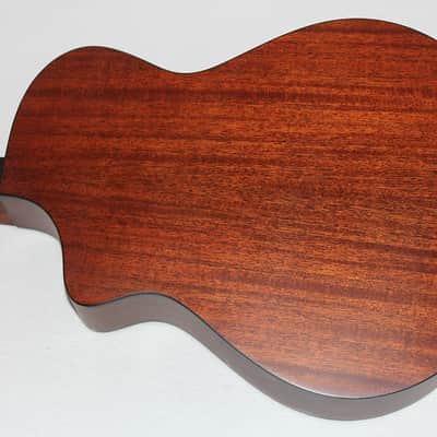 Breedlove Passport C250/CMe Acoustic-Electric Guitar image 3