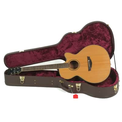 Parkwood Acoustic Owned by Greg Howe image 18