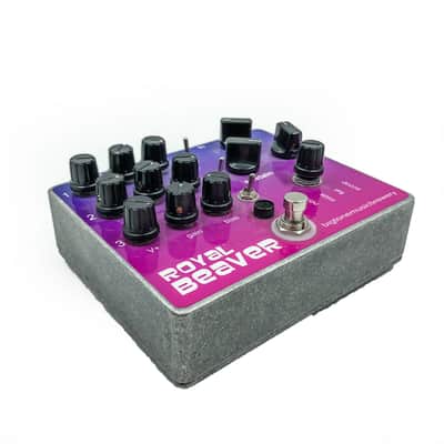 Big Tone Music Brewery Royal Beaver Owned by J Mascis of Dinosaur Jr. image 2