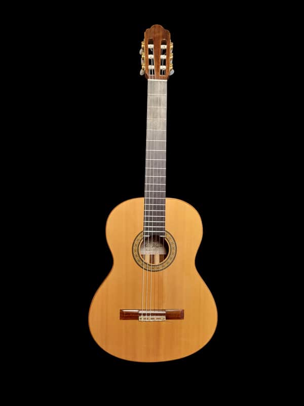 Lord of the Strings by John Vergara Flamenco negra (Rosewood) 2015 - Natural image 1