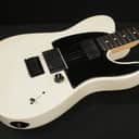 Fender Jim Root Artist Series Signature Telecaster 2015 - Flat White