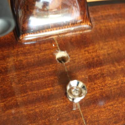 Cordova Model 492 12-String 1960s image 10