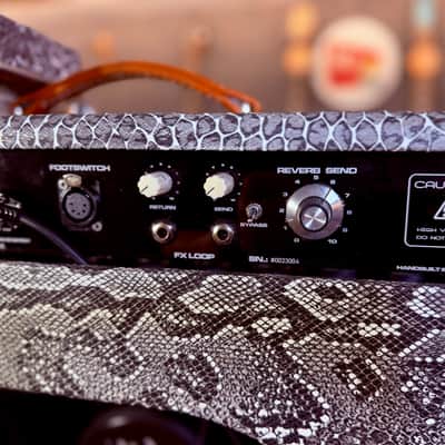 SL Amplification New Drive Reverb 50 Watts Combo 1x12” Custom Order (Tube Buffered fx loop) - Snake Skin Custom Tolex image 12