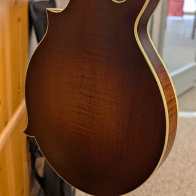 Morgan Monroe MMS-8W F-Style Mandolin image 4
