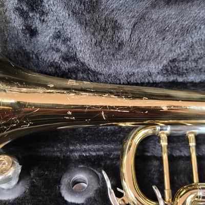 Antigua Trumpet - Gold Lacquer image 10
