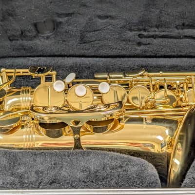 Alpine Woodwinds AAS143 2010's Alto Saxophone with Case - Gold image 2