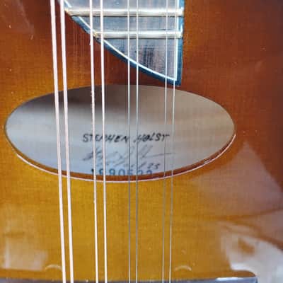Holst F-4 Hybrid 2023 - Sunburst image 13