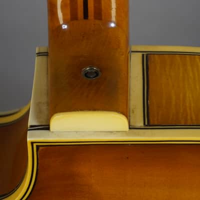 Tauscher & Co TACO Archtop1950s - Blonde Burst image 10