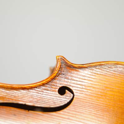 Bonev Violins #72 Bench made 2026 Advanced to Professional Full Size violin Single piece back Flamed image 13