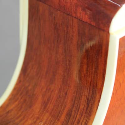 Alvarez AF60CK Acoustic Electric With Hardcase image 11