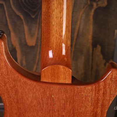Immagine PRS Wood Library Custom 24 Lefty River Blue - 11