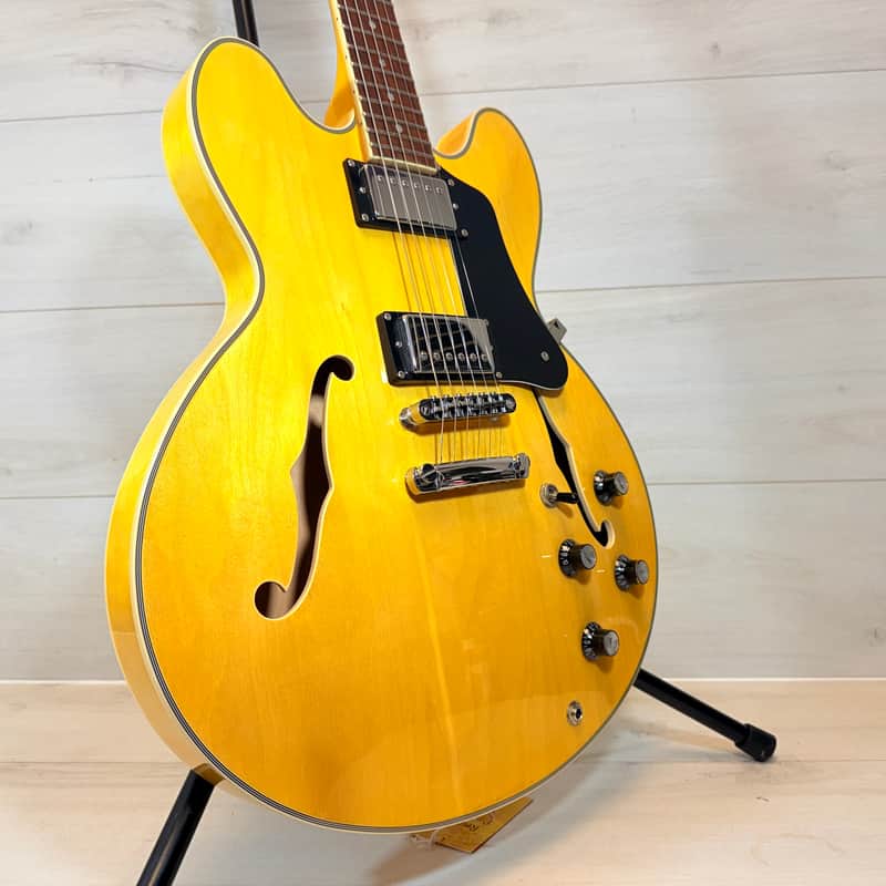 Jay Turser JT137DC Semi-Hollow Electric Guitar – Natural Finish – ES-Style Tone on a Budget image 1
