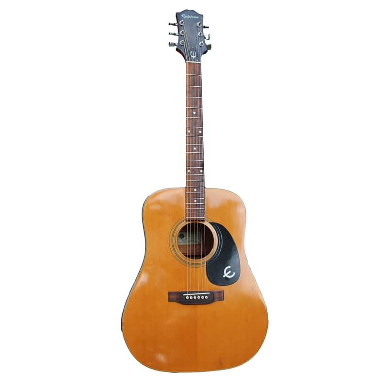 Epiphone FT-345 image 1