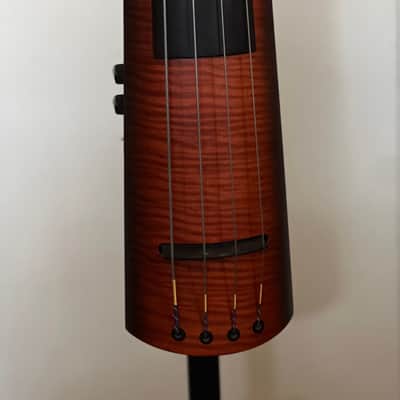 NS Designs NXT4 bass 2000's - passive image 2