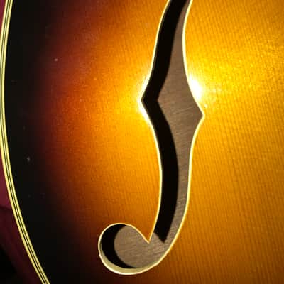 Danelectro neck on a Longhorns body.  Late 1960’s Aged Faded Tobacco Burst image 12