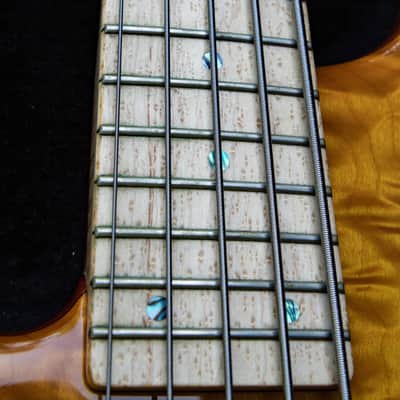 Left Handed Nordstrand Very Custom 5 String Bass image 21