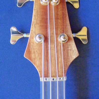 Alembic Distillate Exploiter 1983 Flame Koa Refurbished image 4