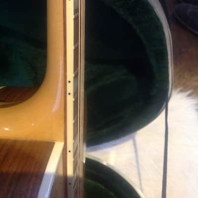 Rickenbacker 700 S/6 Shasta  2001 Naturel image 10