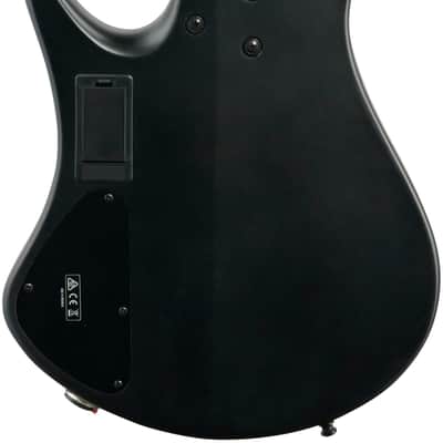 Ibanez EHB1005MS Bass Guitar (with Gig Bag), Flat Black image 7