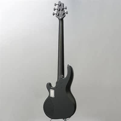 Edwards E-Albion STEALTH [L'Arc-en-Ciel tetsuya (TETSUYA