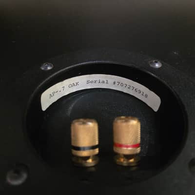 Digital Phase AP-.7 Speakers image 10