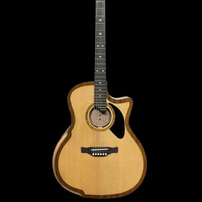 Riversong P2P-GA-Bari Baritone Guitar image 1