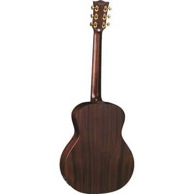 Eko Guitars Marco Polo MM image 2