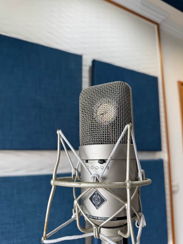 Neumann M 149 Large Diaphragm Multipattern Tube Condenser Microphone