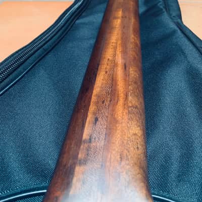 Warwick Thumb BO 5 string made in Germany 2004 image 5