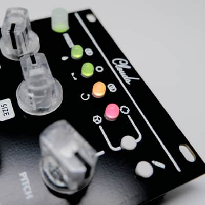 Mutable Instruments Clouds Clone - CCTV - Eurorack Module image 1