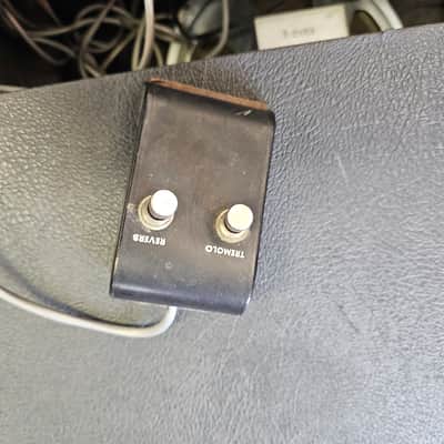 Epiphone Galaxie Reverb Tremolo Tube Amp image 8