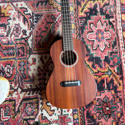 Fender Pa'ina Tenor Ukulele 2009 - 2014 - Natural image 1