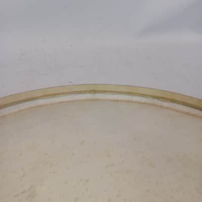 Leedy 16" 20s Calf Skin Floor Tom Drum Batter/Resonant Head USA Marching Snare image 4