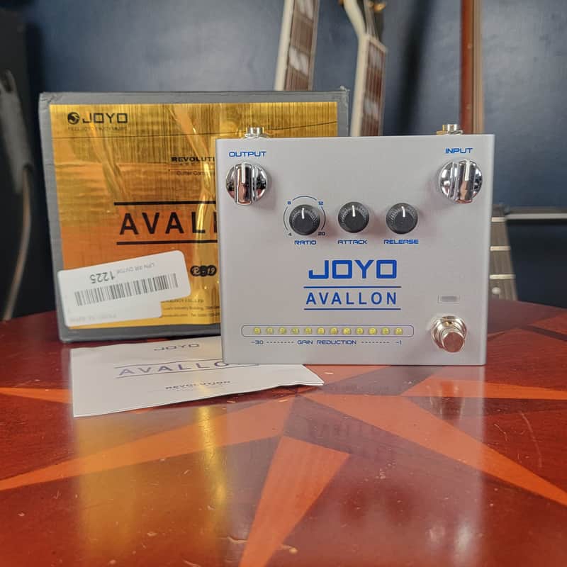 2022 – Present Joyo R-Series R-19 Avallon Silver