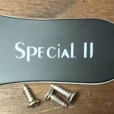 2008 Epiphone Les Paul Special II Electric Guitar Truss Rod Cover With Screws image 1