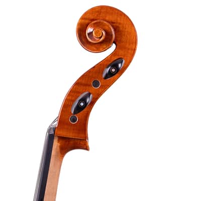 Testore Cello 4/4 from One Piece Back – Hand-Made in Romania 2025 #100 image 12