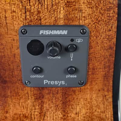 Breedlove Discovery S Concert Bass CE - Edgeburst, B-Stock Free Shipping image 12