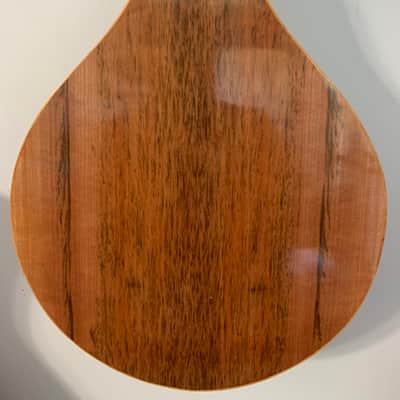 Peter Coombe Classical Flattop Mandolin image 6