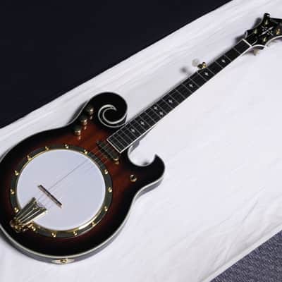 Gold Tone EBM-5 F-style electric 5-string Banjo w/ CASE - Planet Tuners -B-stock image 3