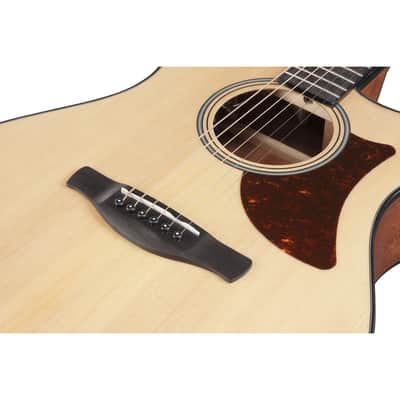 Ibanez AAM50CE-OPN image 3