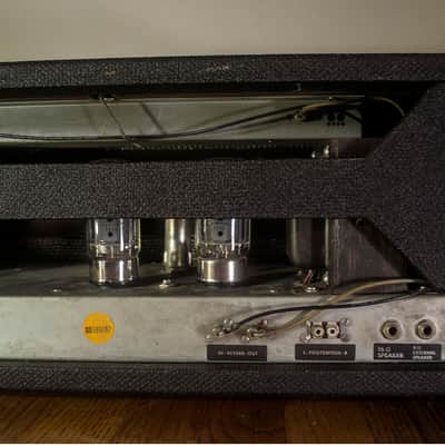 SUNN Sceptre 1969 image 7