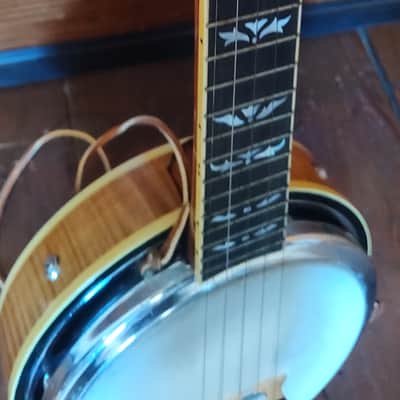 2006 Walker Mini Banjo w/ Custom Case image 10