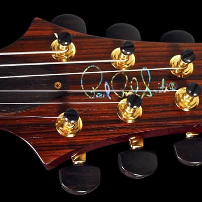 2007 / 2013 Paul Reed Smith PRS Custom 24 Artist Package Brazilian Tortoise Shell image 9