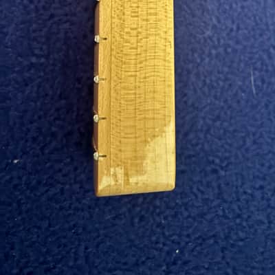 Ron Kirn USACG Tele Neck Texas Blues Profile image 12