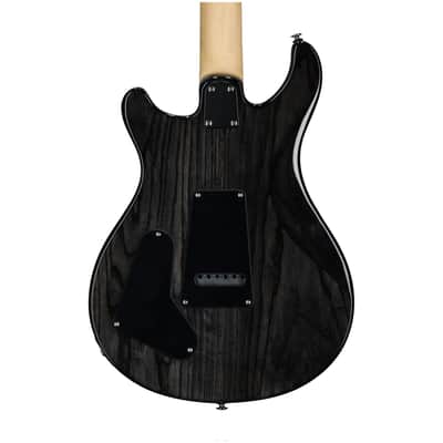 PRS Paul Reed Smith SE Swamp Ash Special Electric Guitar (with Gig Bag), Charcoal image 5