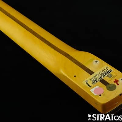 Fender American Professional Classic Stratocaster, Strat NECK, RW Rosewood image 5